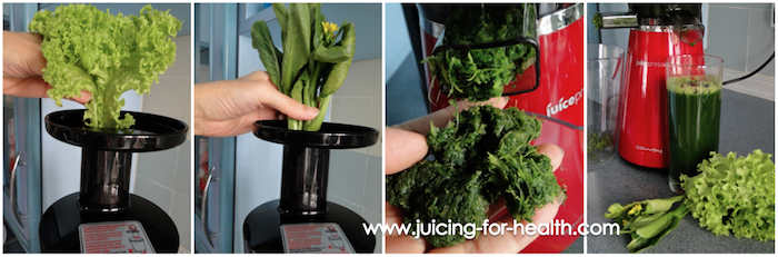 JuicePresso CJP-03 juicing greens