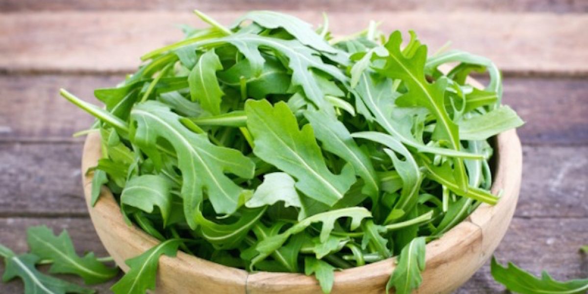 Health Benefits Of Arugula