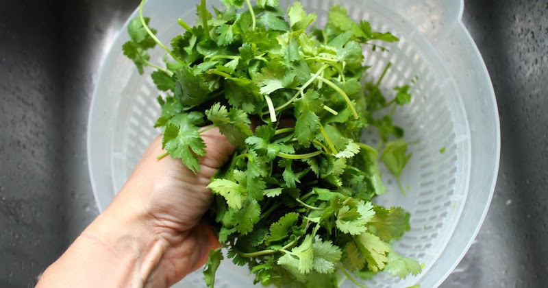 Heavy Metal Detox Drink - Using Cilantro, Parsley Juice 