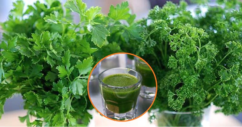 cilantro parsley juice