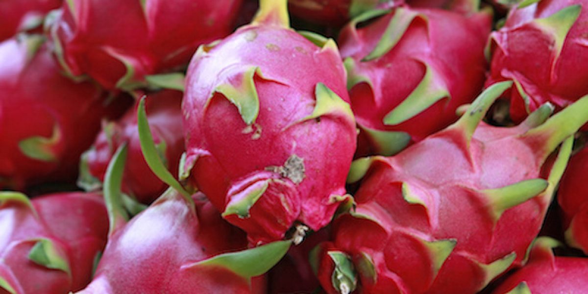 Dragonfruit Is An Exotic Fruit That Stabilizes Blood Sugar, Heals Lung Problems