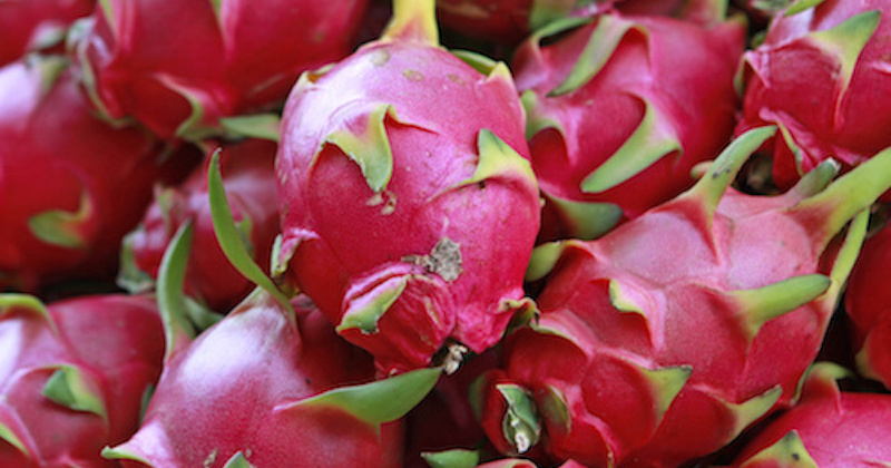 Dragonfruit Is An Exotic Fruit That Stabilizes Blood Sugar, Heals Lung