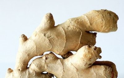 Do You Know When To Use Old Ginger Root And When To Use The Young?