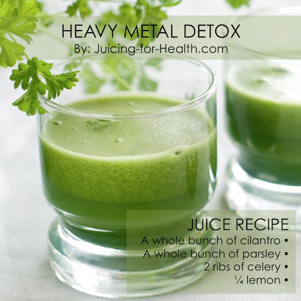 Heavy Metal Detox Drink Using Cilantro, Parsley Juice And Clay Water