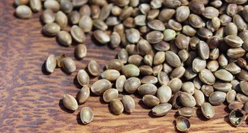 health benefits of hemp seeds