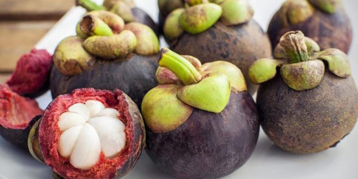 Xanthones From Mangosteen Has Been Shown To Inhibit The Growth Of Cancer Cells