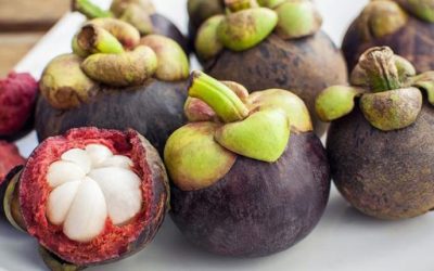 Xanthones From Mangosteen Has Been Shown To Inhibit The Growth Of Cancer Cells