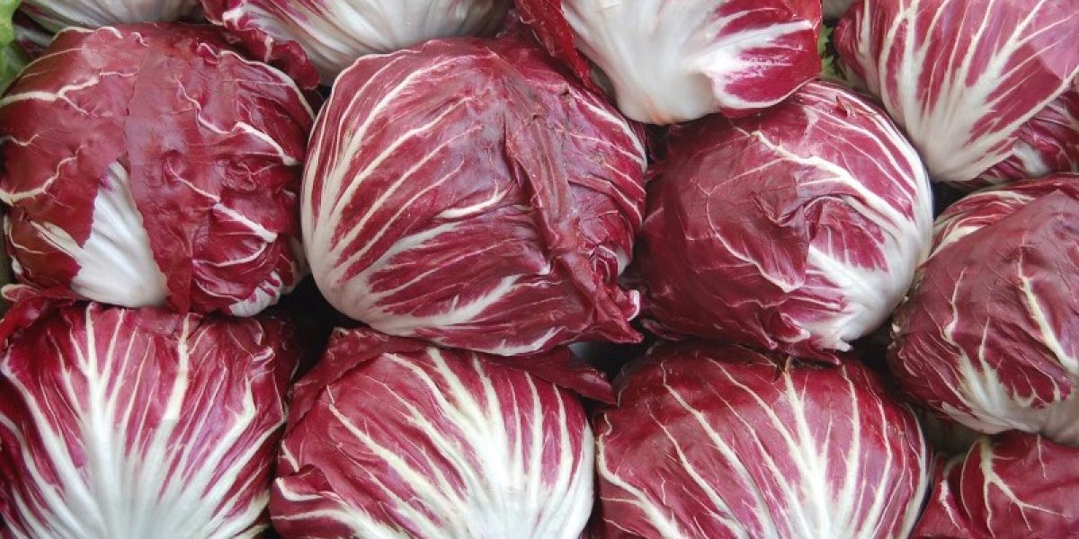 Health Benefits of Radicchio