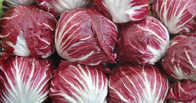 health benefits of radicchio