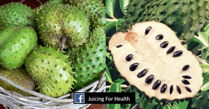 health benefits of soursop