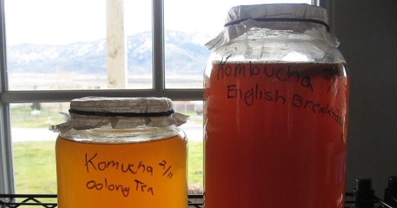 kombucha tea