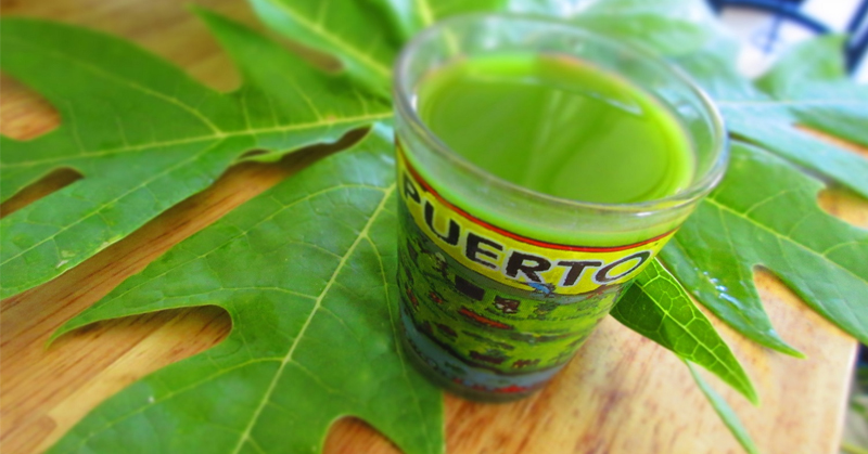 papaya leaf extract