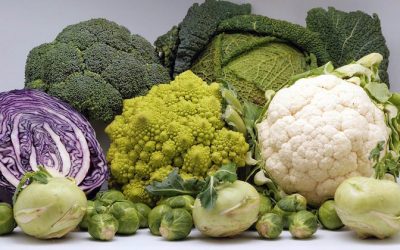 Studies Show Cruciferous Vegetables Like Broccoli, Cauliflower And Kale Help Beat Cancer
