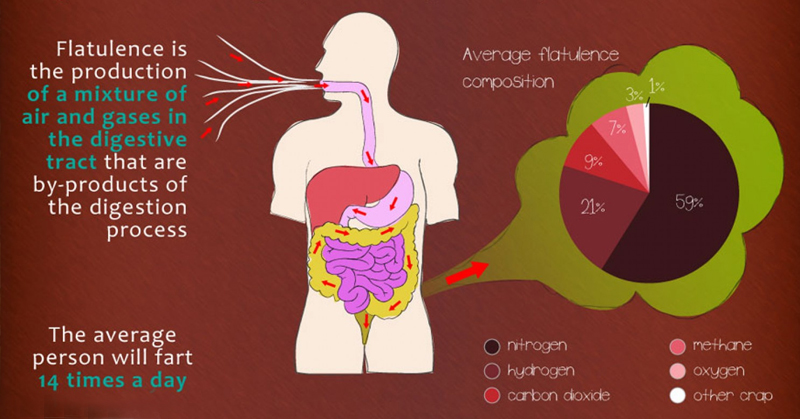 Excessive Flatulence How To Prevent And Stop This Social Embarrassment