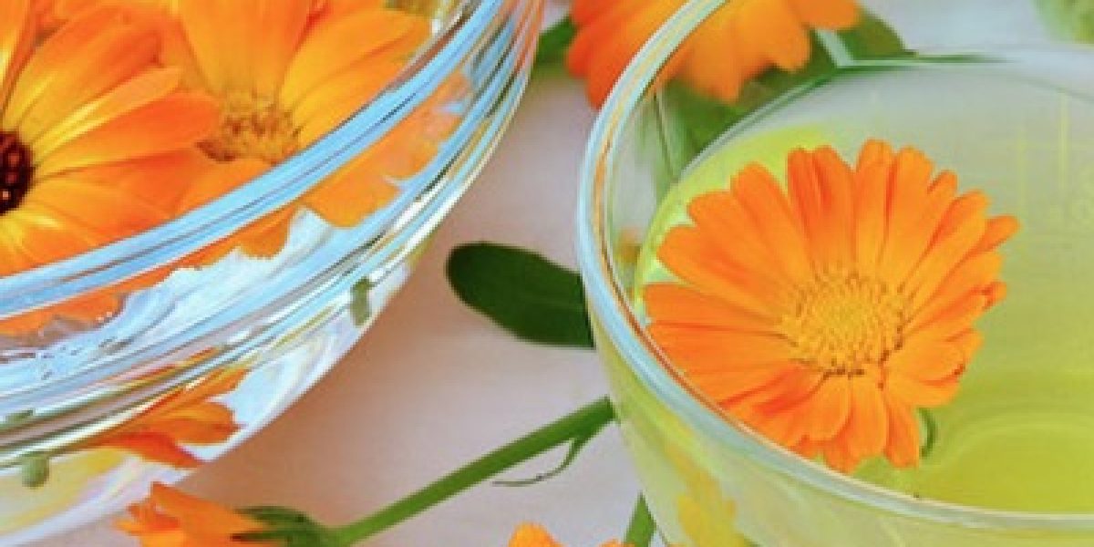 Surprising Health Benefits Of Calendula And How To Use It