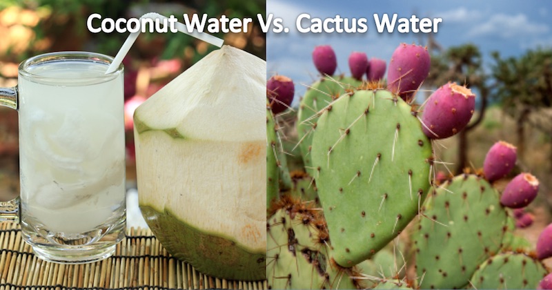 coconut water vs cactus water