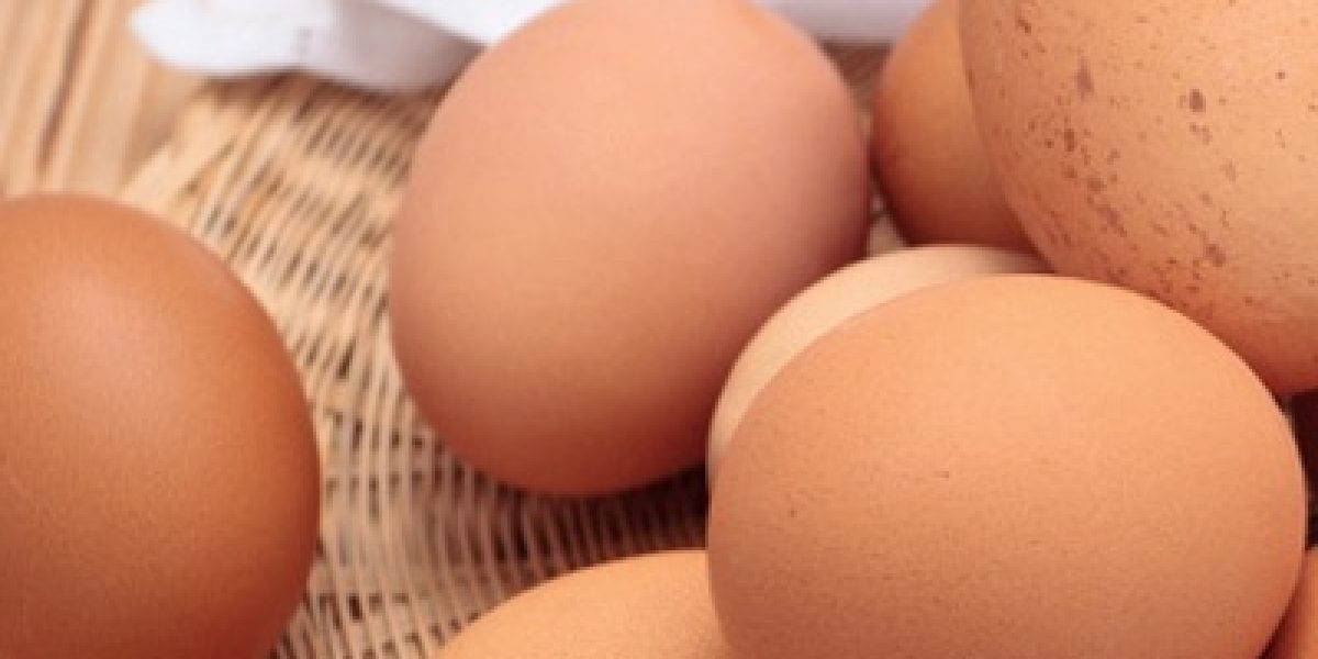 6 Reasons Why Eggs Are The Healthiest Food on The Planet