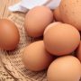 6 Reasons Why Eggs Are The Healthiest Food on The Planet
