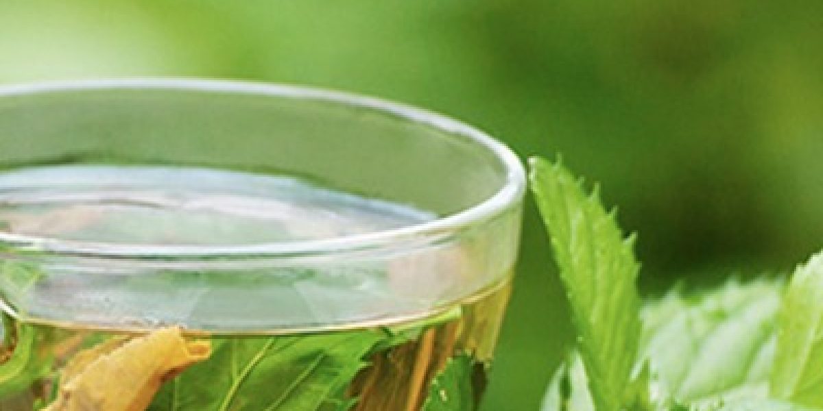 5 Scientifically-Proven Reasons To Drink Green Tea