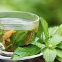 5 Scientifically-Proven Reasons To Drink Green Tea