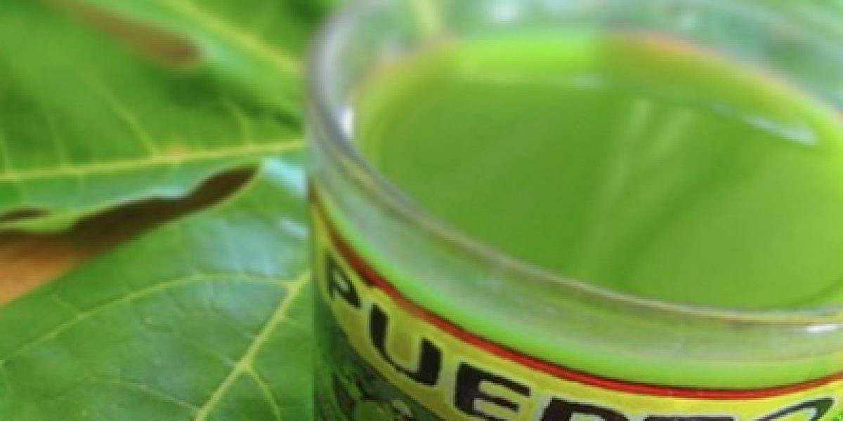 Study: Papaya Leaf Extract Slows Down Cancerous Tumor Growth