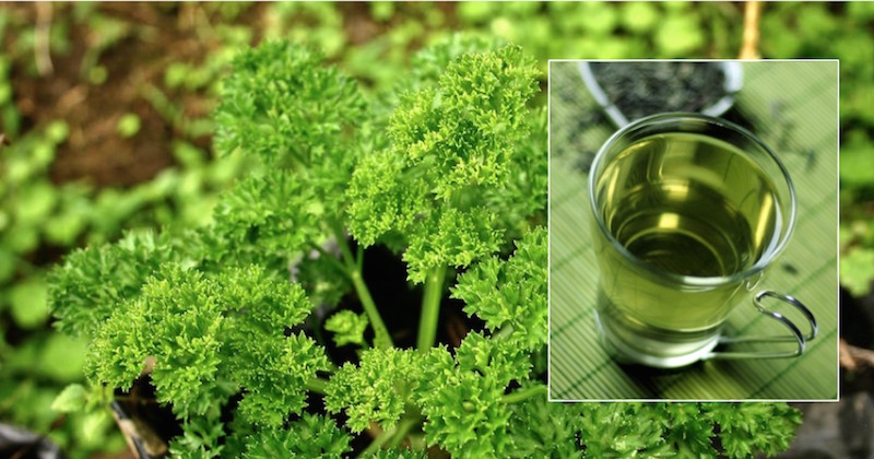 remedy swollen feet with parsley tea