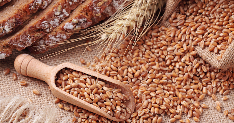 whole grains as nutritious alternatives to refined grains