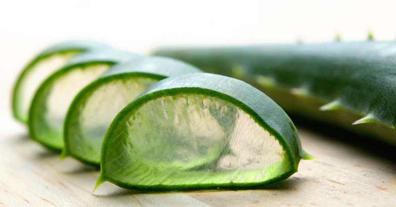 health benefits of aloe vera