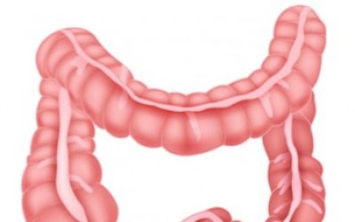 Studies Show That Our Appendix Is Useful After All