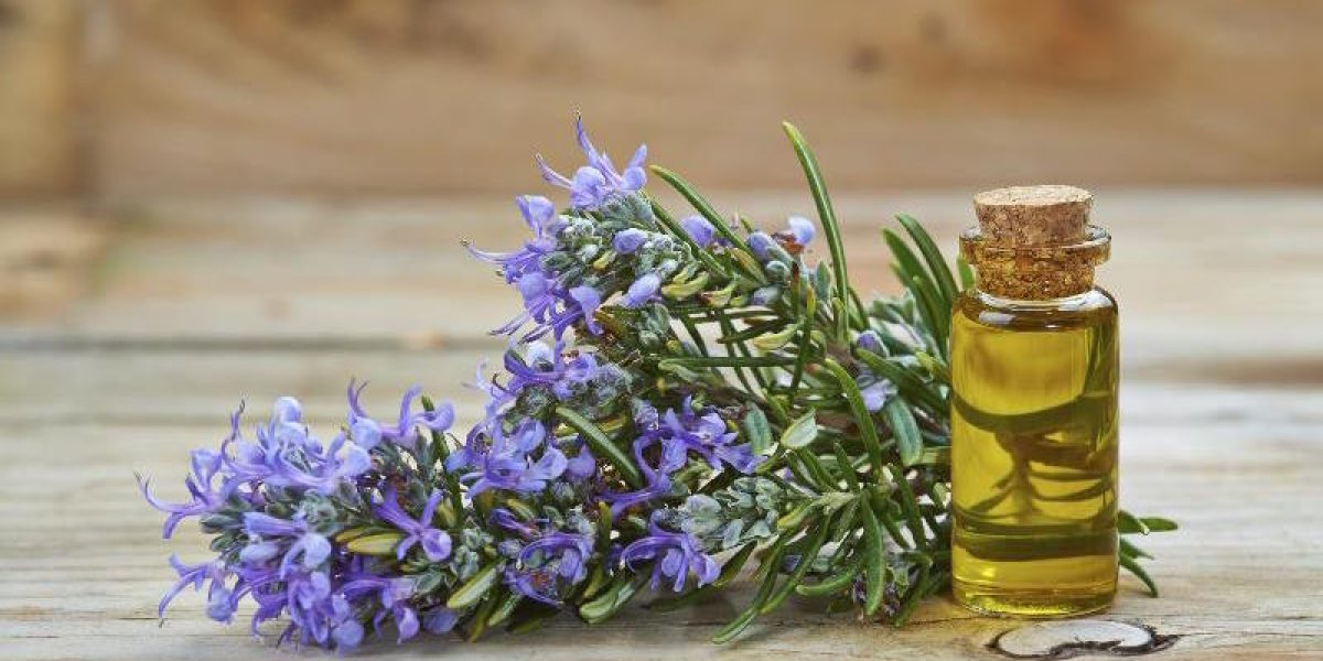 Scientists Discovered That Rosemary Essential Oil Boosts Your Memory Retention By Up To 75%