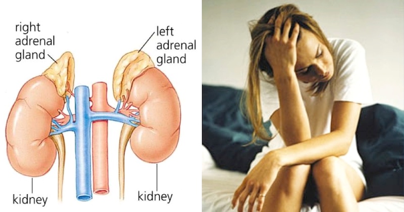recover from adrenal fatigue