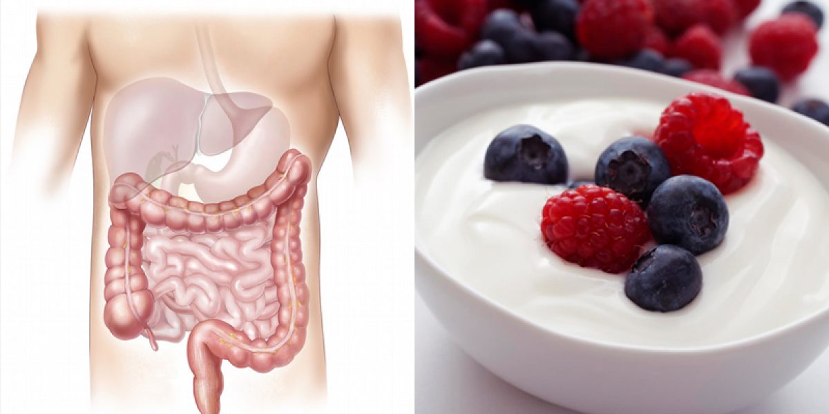 Yogurt Health Benefits