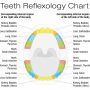 Mouth Reflexology Can Help Reduce Your Risk of Chronic Illness