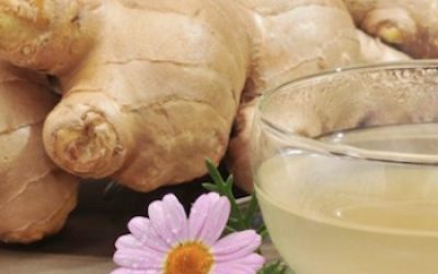 Eating Ginger Every Day Provides You With Incredible Health Benefits