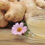 Eating Ginger Every Day Provides You With Incredible Health Benefits