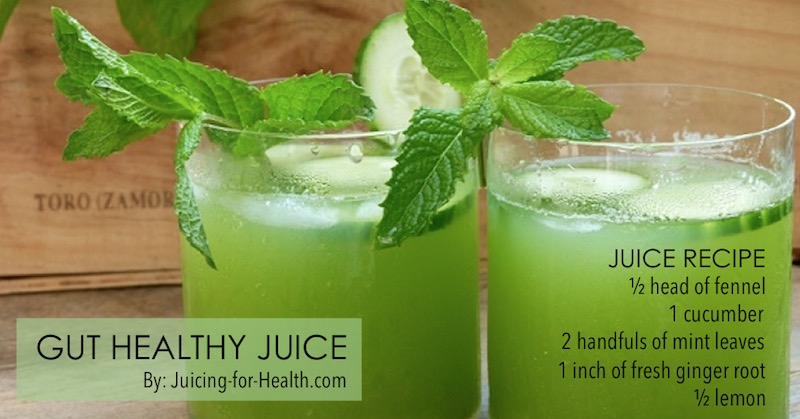 Juice Recipes For Gut Health Restore The Health Of Your Digestive System