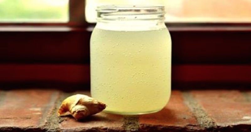 homemade ginger ale recipe