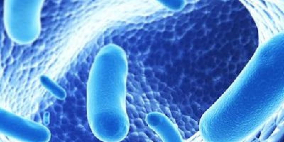 Compromised Gut Flora Leads To ADHD, Autism And Learning Disabilities