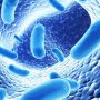 Compromised Gut Flora Leads To ADHD, Autism And Learning Disabilities