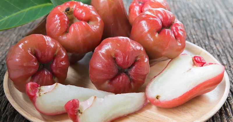 rose apple reduces risks of cancer