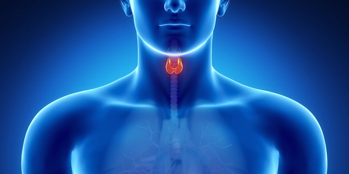 The Leaky Gut–Thyroid Connection You Wished Your Doctor Told You About