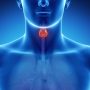 Causes And Symptoms Of Damaged Thyroid Gland And What Your Tongue Reveals