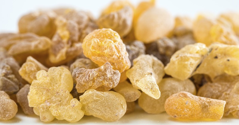 Boswellia - home remedies to treat arthritis joint pains