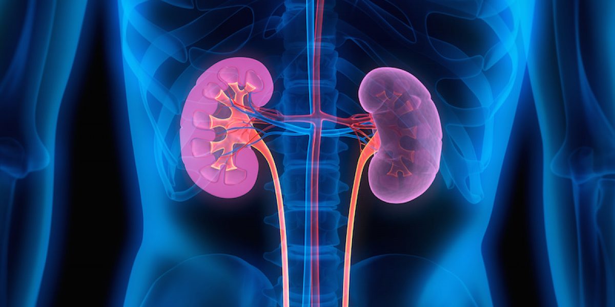 Warning Signs You Need A Kidney Detox And How To Do It