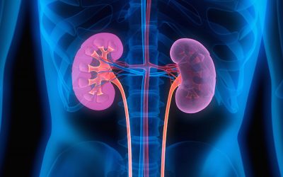 Warning Signs You Need A Kidney Detox And How To Do It
