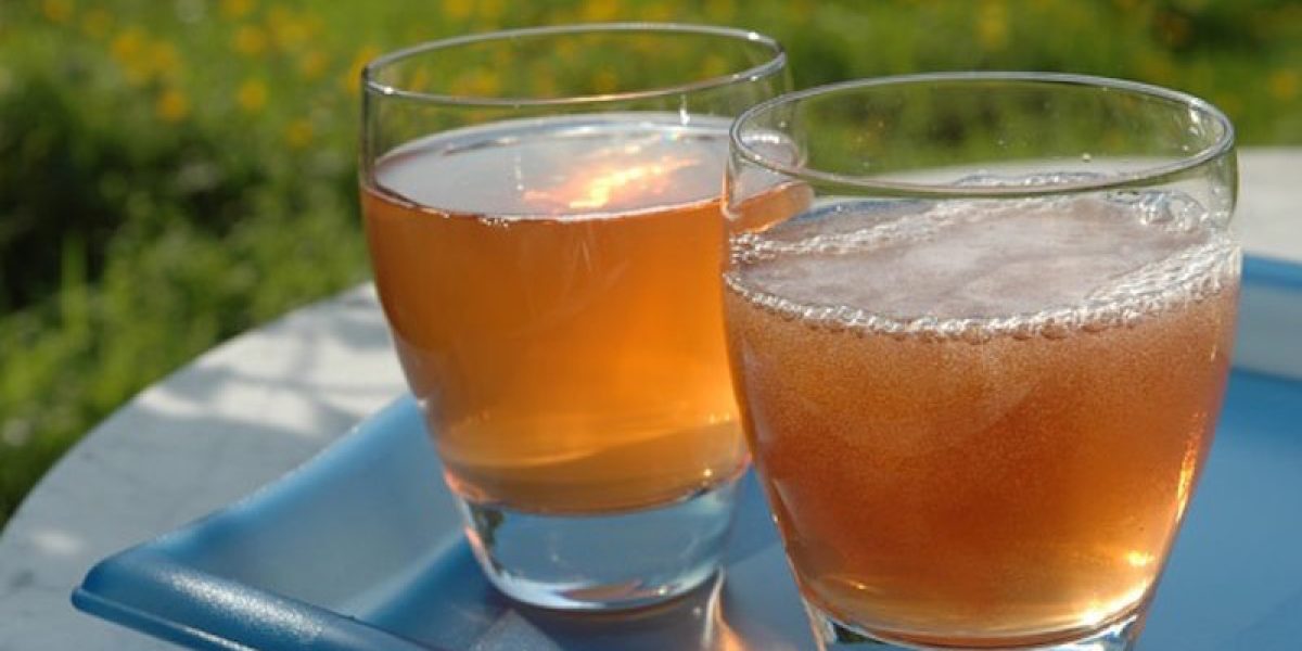 Improve Your Brain Power And Function By Consuming Homemade Kombucha Tea