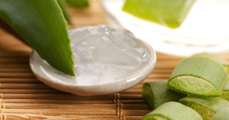 stop gum disease with aloe vera