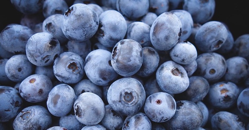 health benefits of blueberries