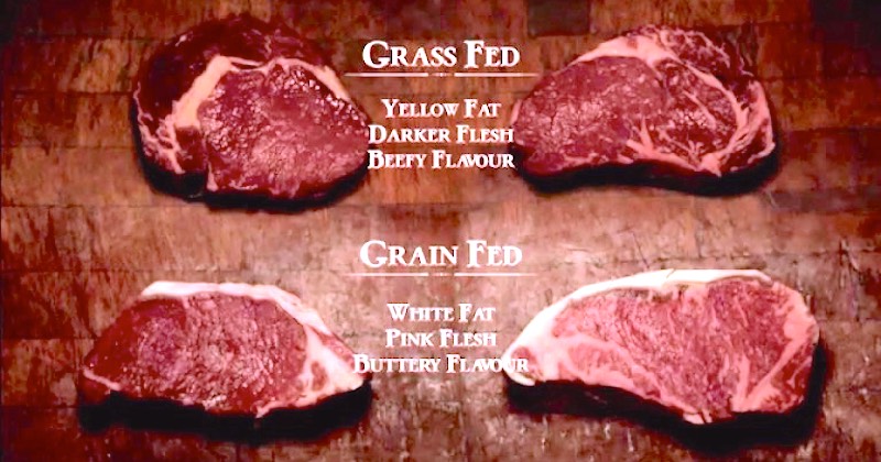 grass and grain-fed beef