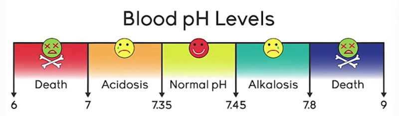 blood pH levels